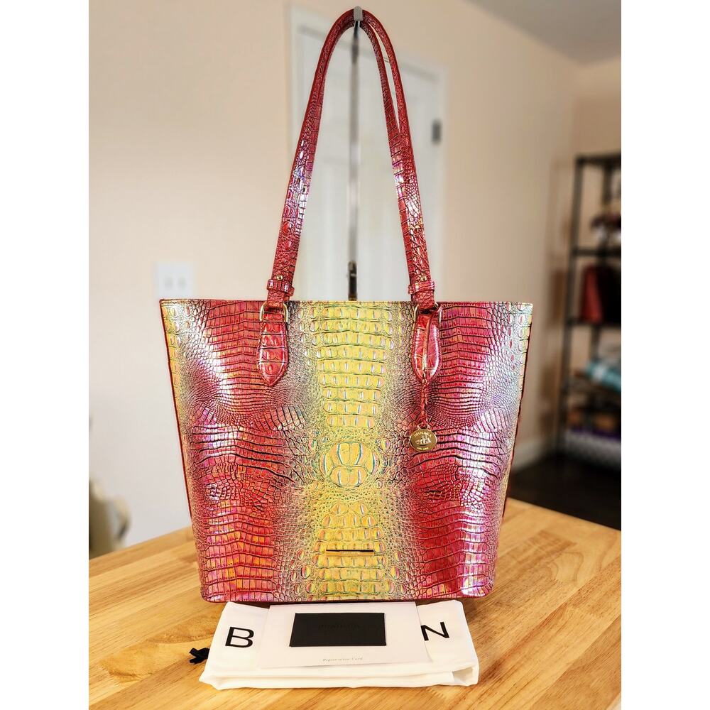 NWT Brahmin Ellen Tote in Dragonfruit Ombre Mini Melbourne Genuine Leather